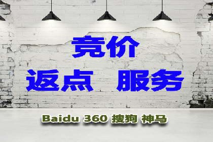 专业SEM代运营托管公司案例分析